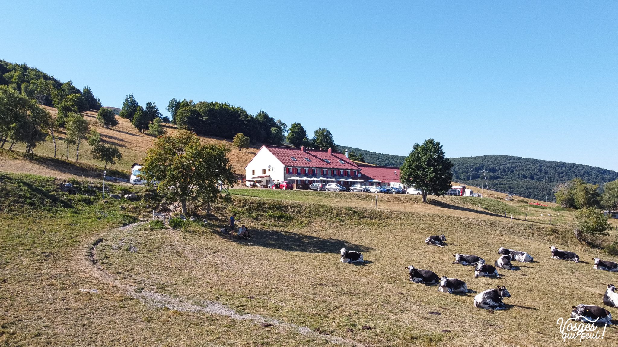 Micro Aventure Dans Les Vosges Les Meilleures Fermes Auberges