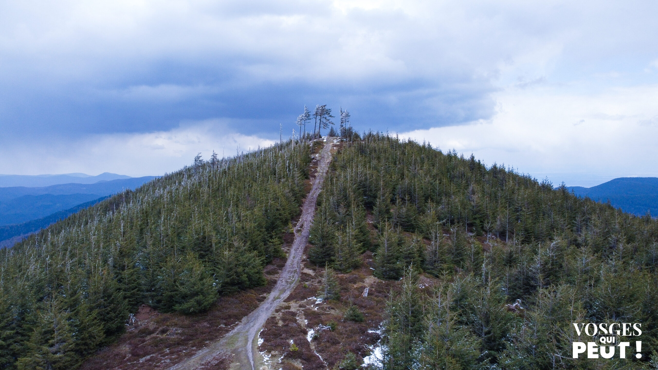 Vue sur le sommet du Grand Brézouard dans le Massif des Vosges