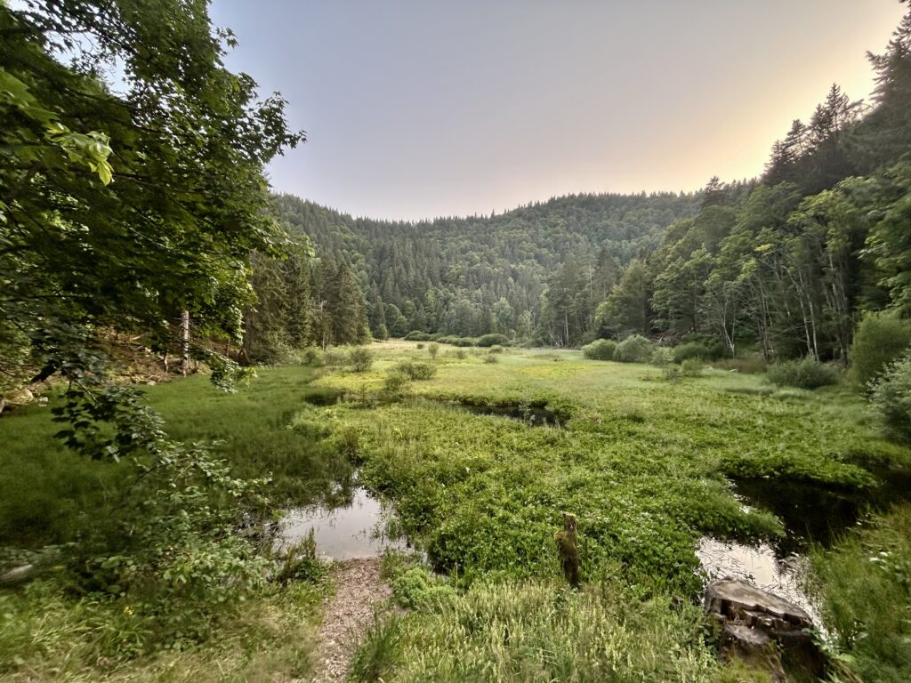 L'étang du Devin dans le Massif des Vosges