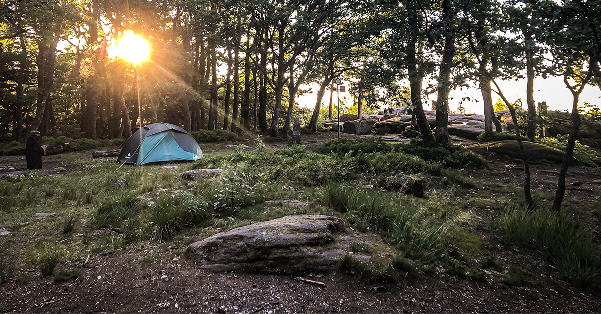 Tentes Couchage Bivouac Intersport