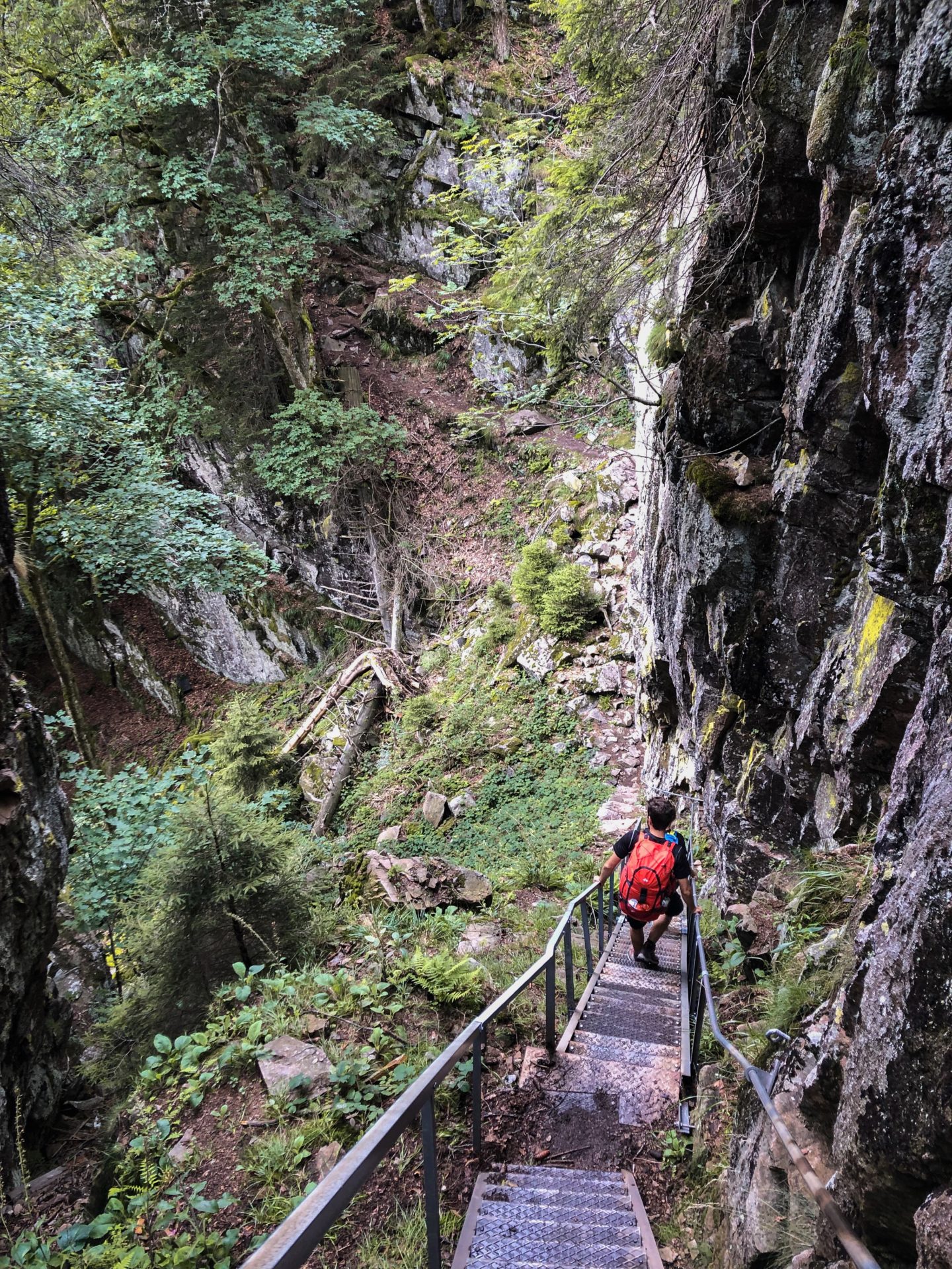 Sur les escaliers du Hirsensteine dans les Vosges