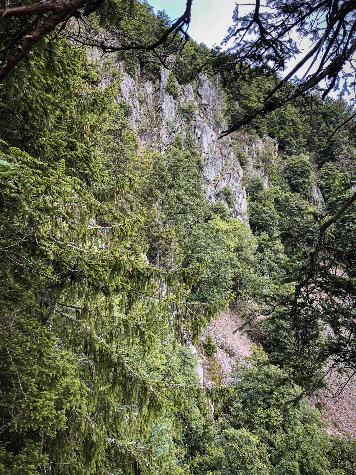 Falaises de granit sur le sentier des Roches dans les Vosges