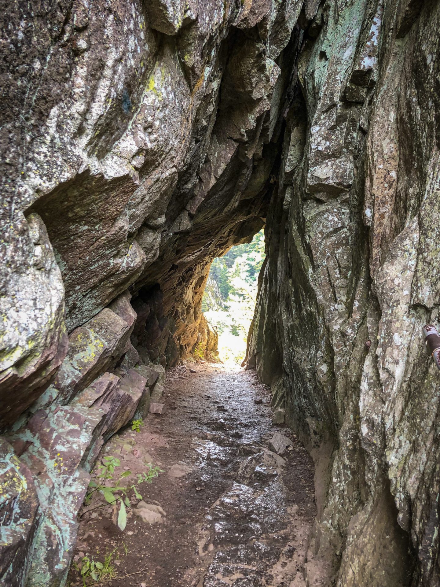 Un tunnel creusé dans la pierre sur le sentier des roches dans les Vosges