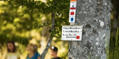 Plusieurs panneaux directionnels de randonnée dans les Vosges autour du Ballon d'Alsace