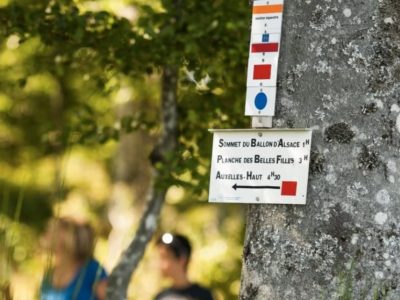Plusieurs panneaux directionnels de randonnée dans les Vosges autour du Ballon d'Alsace