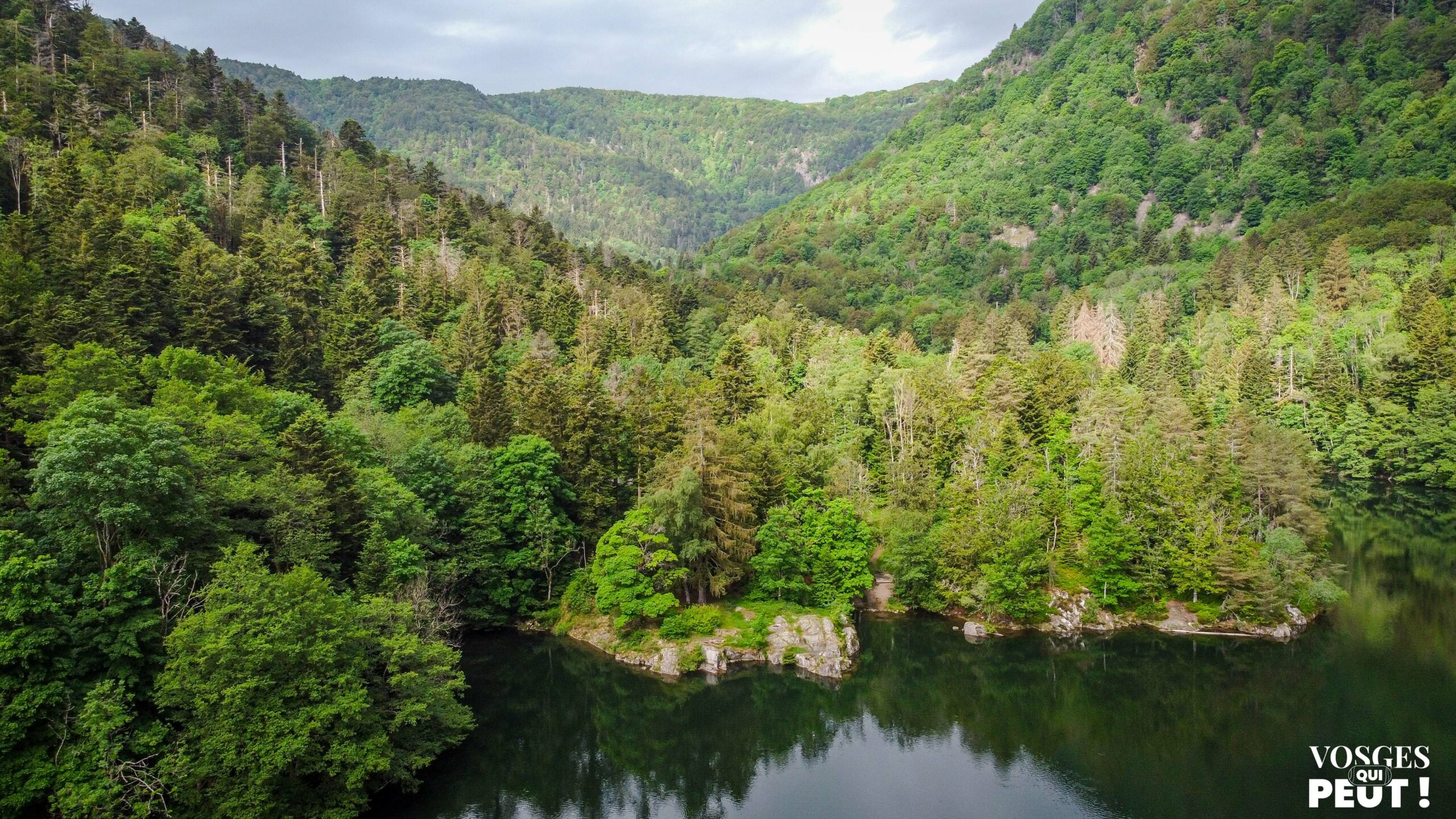 Lac d'Alfeld dans le Massif des Vosges