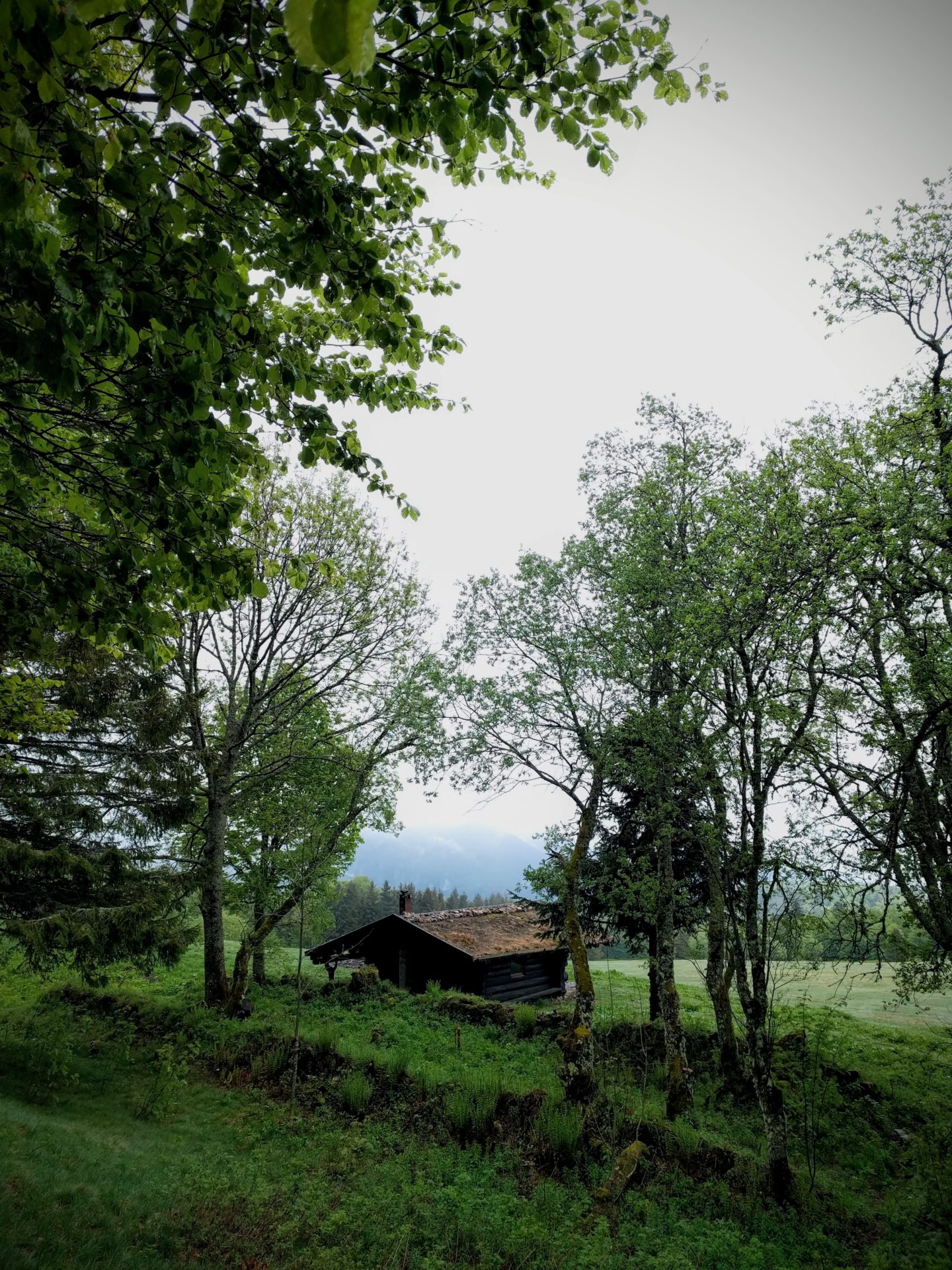 La cabane de la Haute Bers dans les Vosges