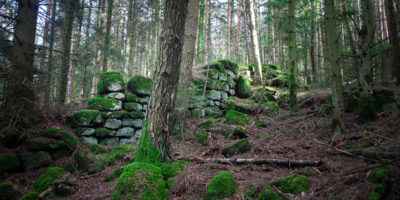 Les ruines du mur païen autour du Mont Sainte-Odile au milieu de la forêt