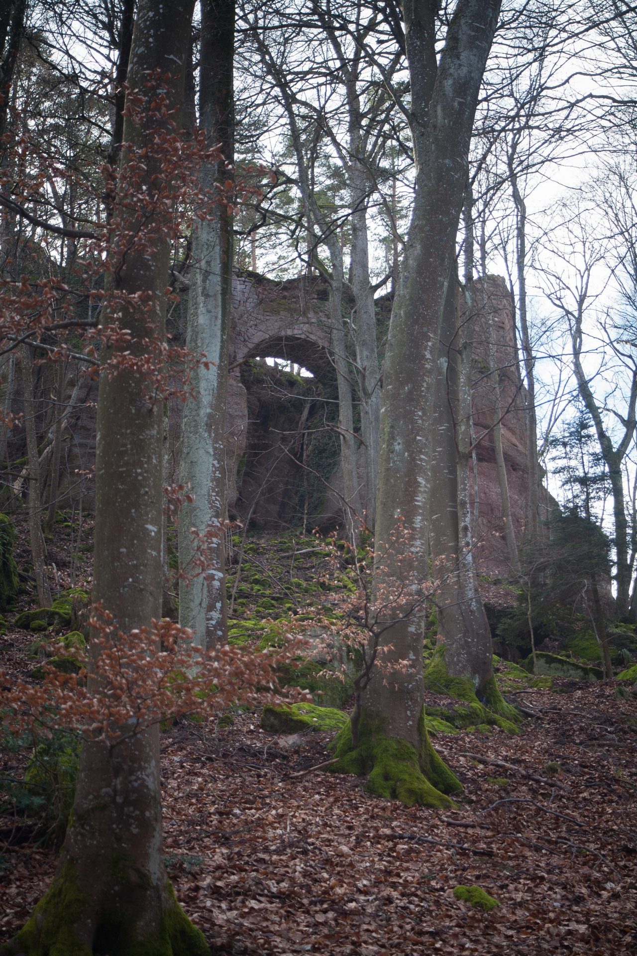 La porte du château du Hagleschloss dans les Vosges