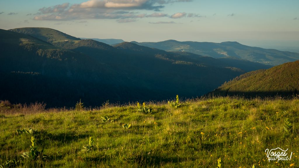 Vue sur la vallée du Wiedenbachrunz depuis la cabane du Neurod