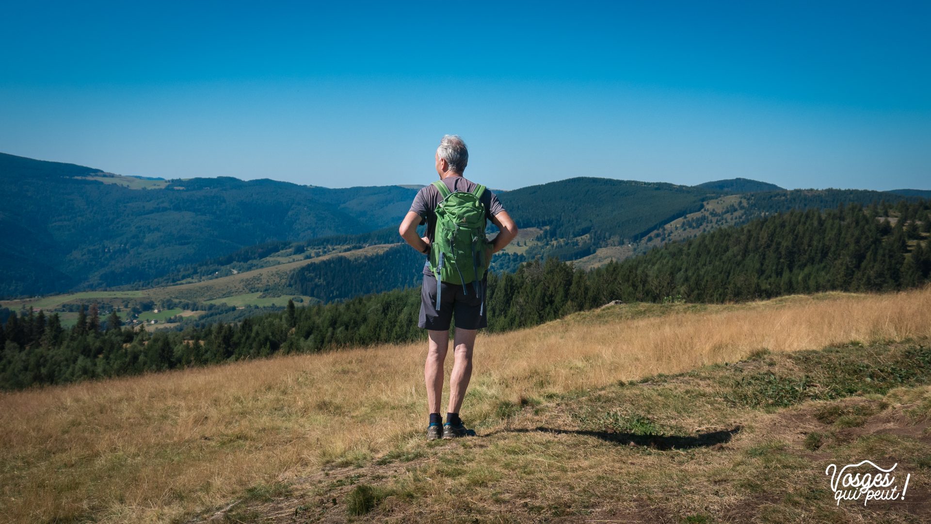Un randonneur vu de dos regarde les Vosges pendant une randonnée en Alsace