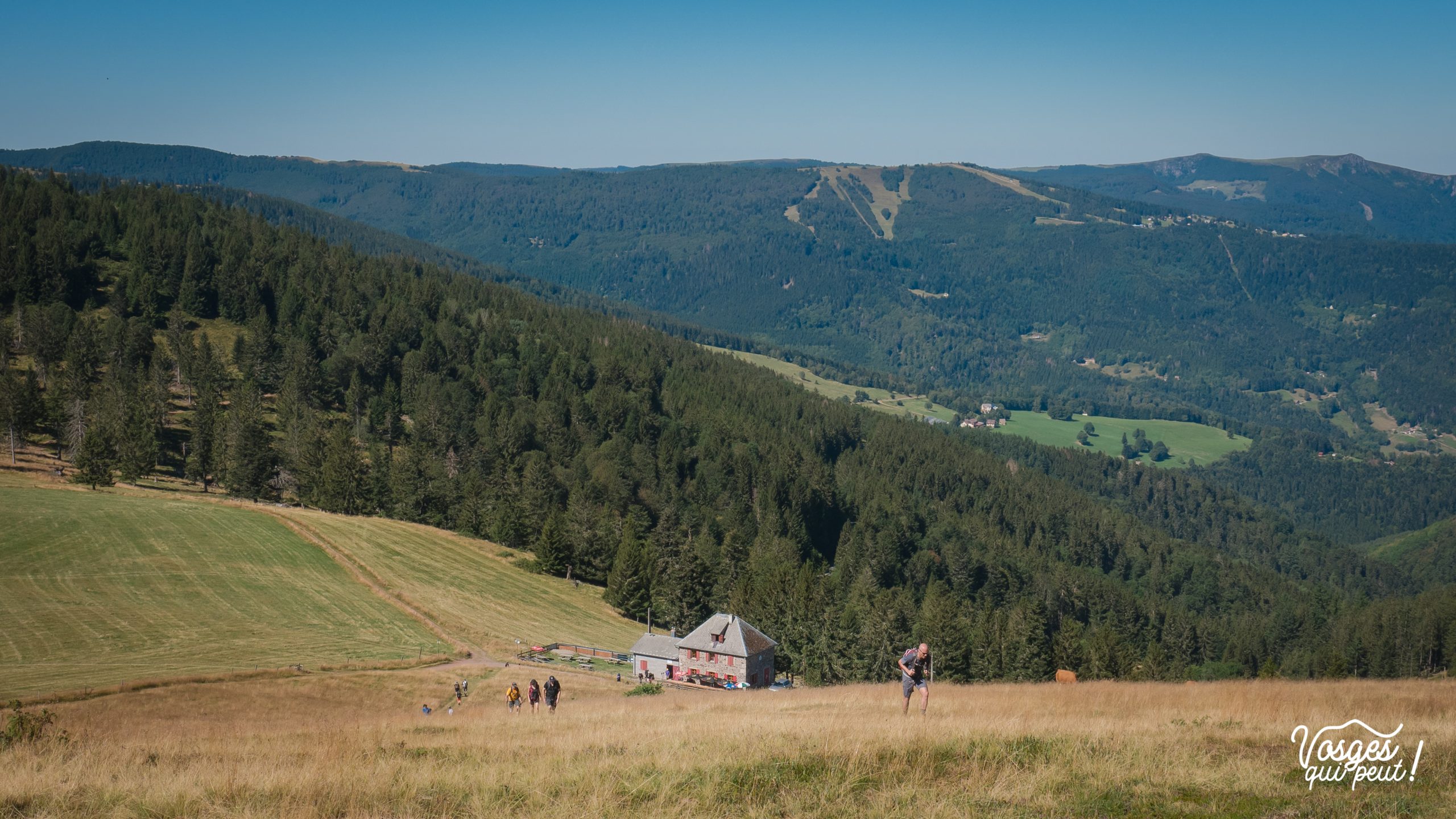 Des marcheurs avancent vers le sommet du Petit Ballon pendant une randonnée en Alsace