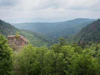 Le donjon du château du Nideck en pleine forêt dans les Vosges