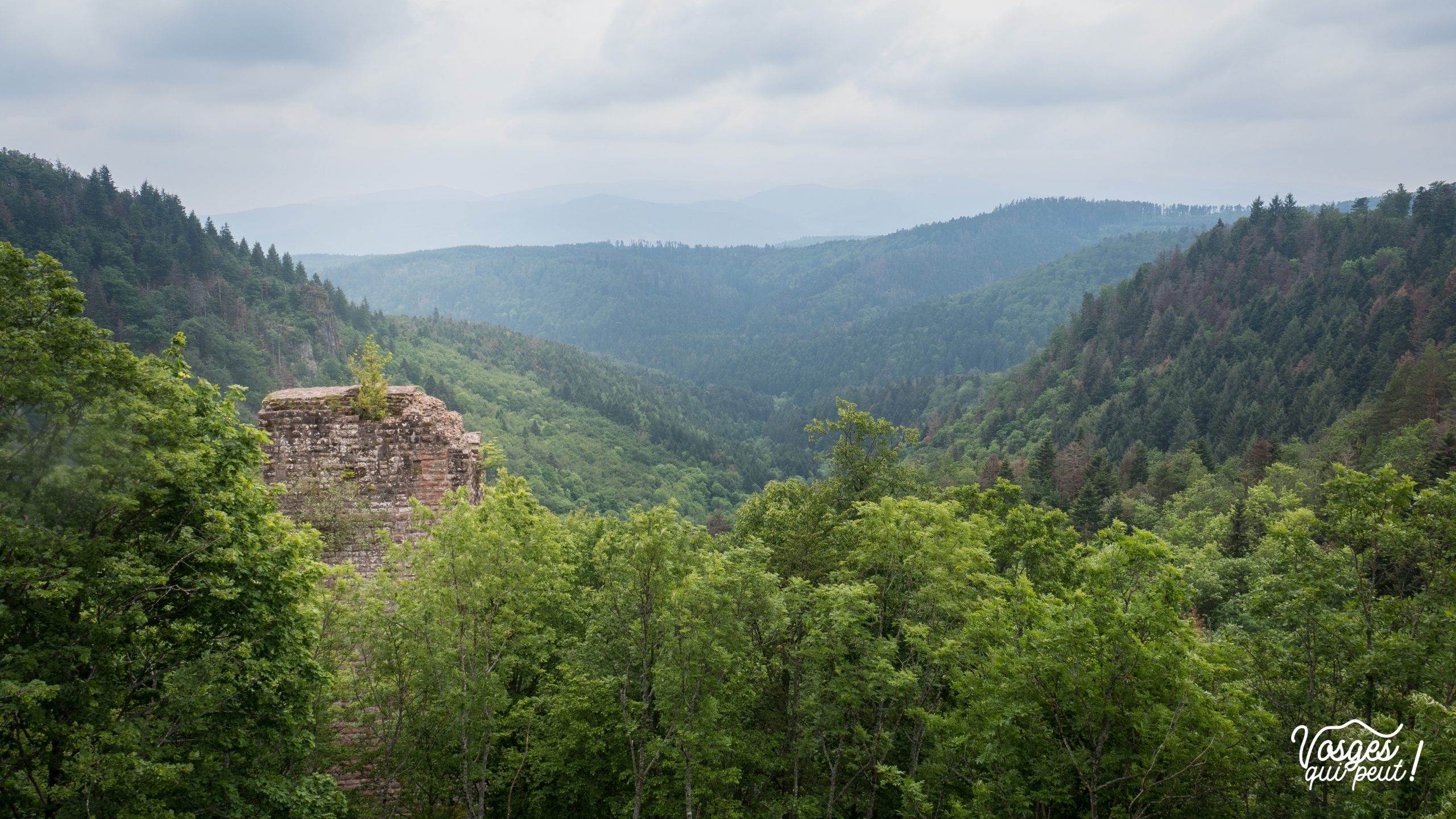 Le donjon du château du Nideck en pleine forêt dans les Vosges