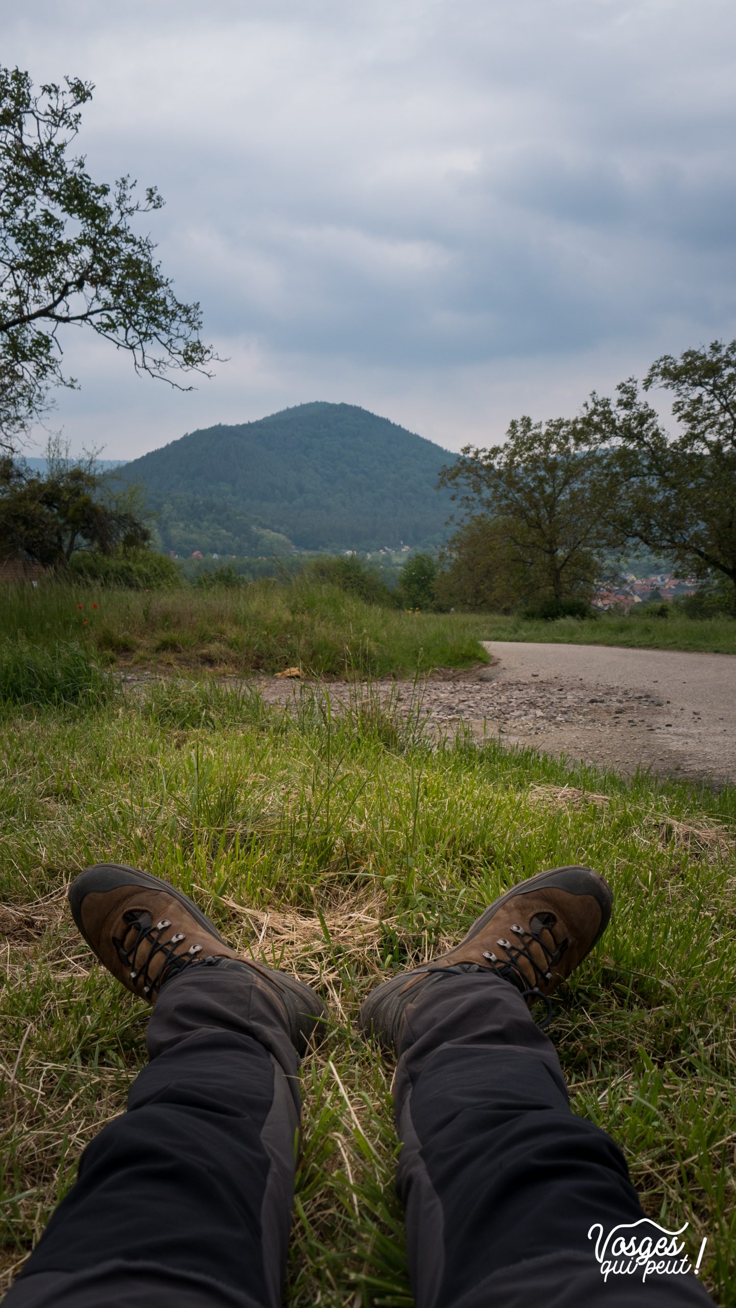 Les chaussures d'un randonneur dans les Vosges en Alsace