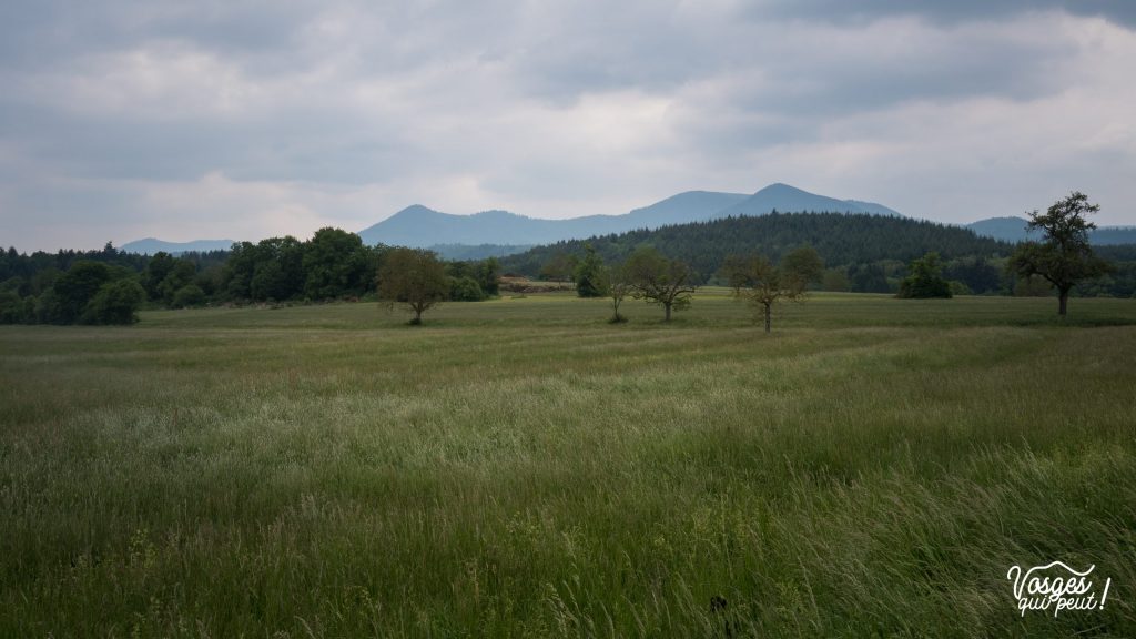 Vue sur la chaîne des Vosges dans la vallée de la Bruche
