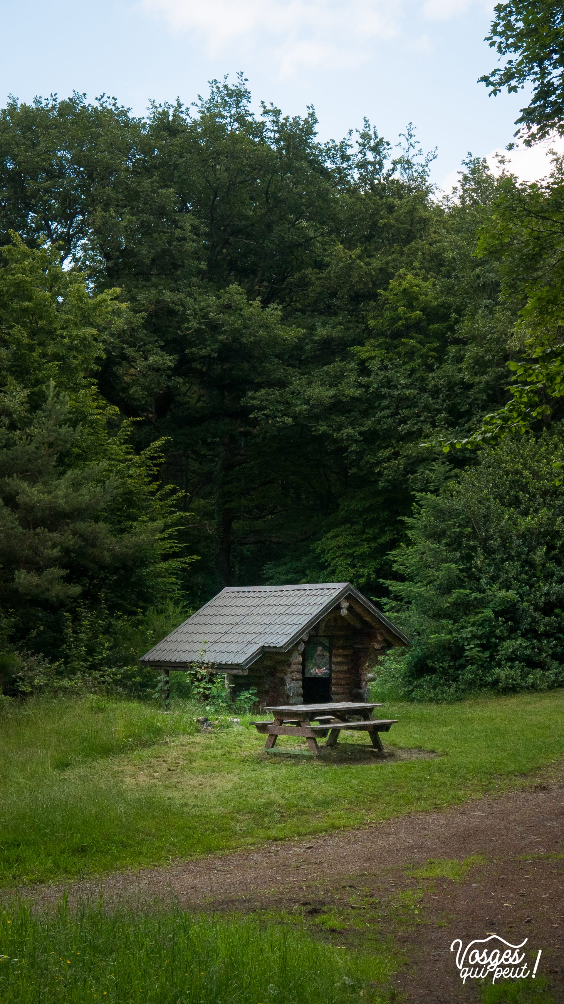Abri du col de Peternit au milieu des bois dans les Vosges