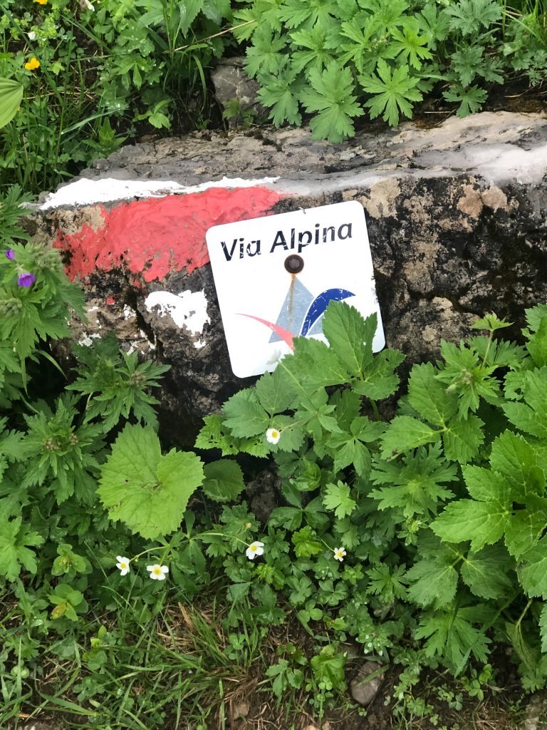 Borne de balisage de la Via Alpina dans les Alpes d'Allgäu en Bavière