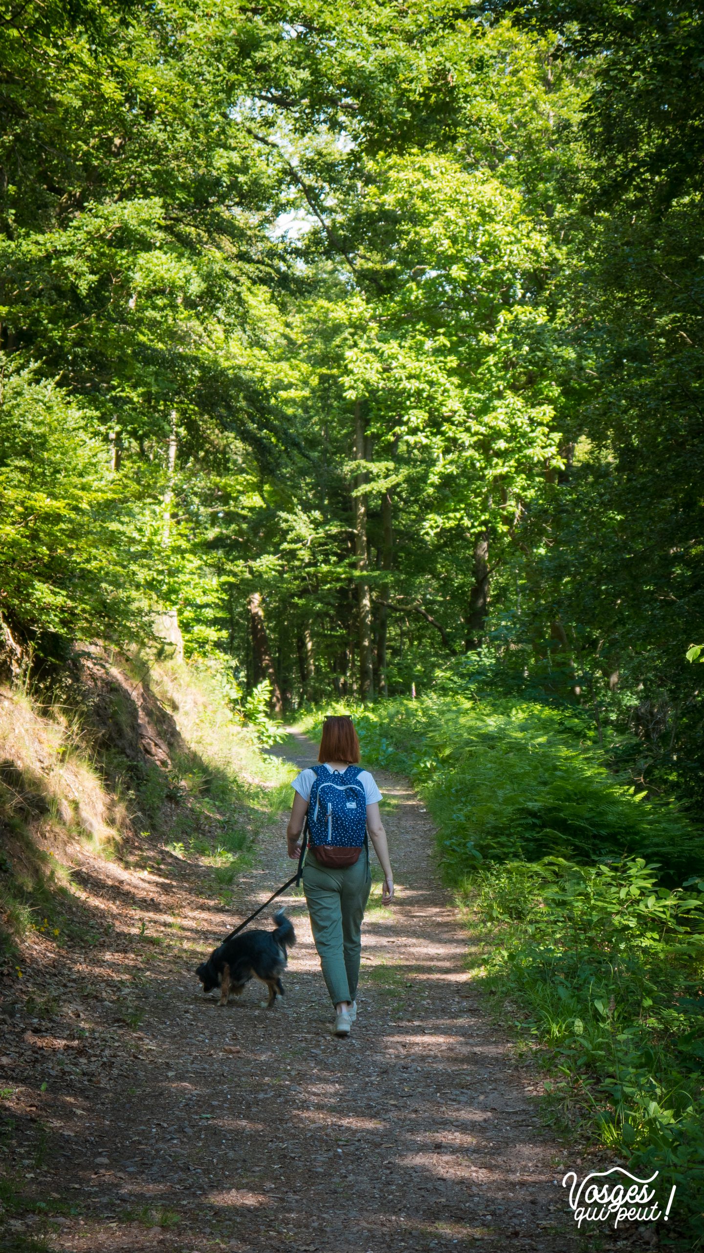 Une jeune fille et son chien font une randonnée en Alsace à proximité du château de Guirbaden