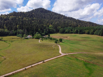 La clairière du Hang dans la vallée de la Bruche, massif des Vosges