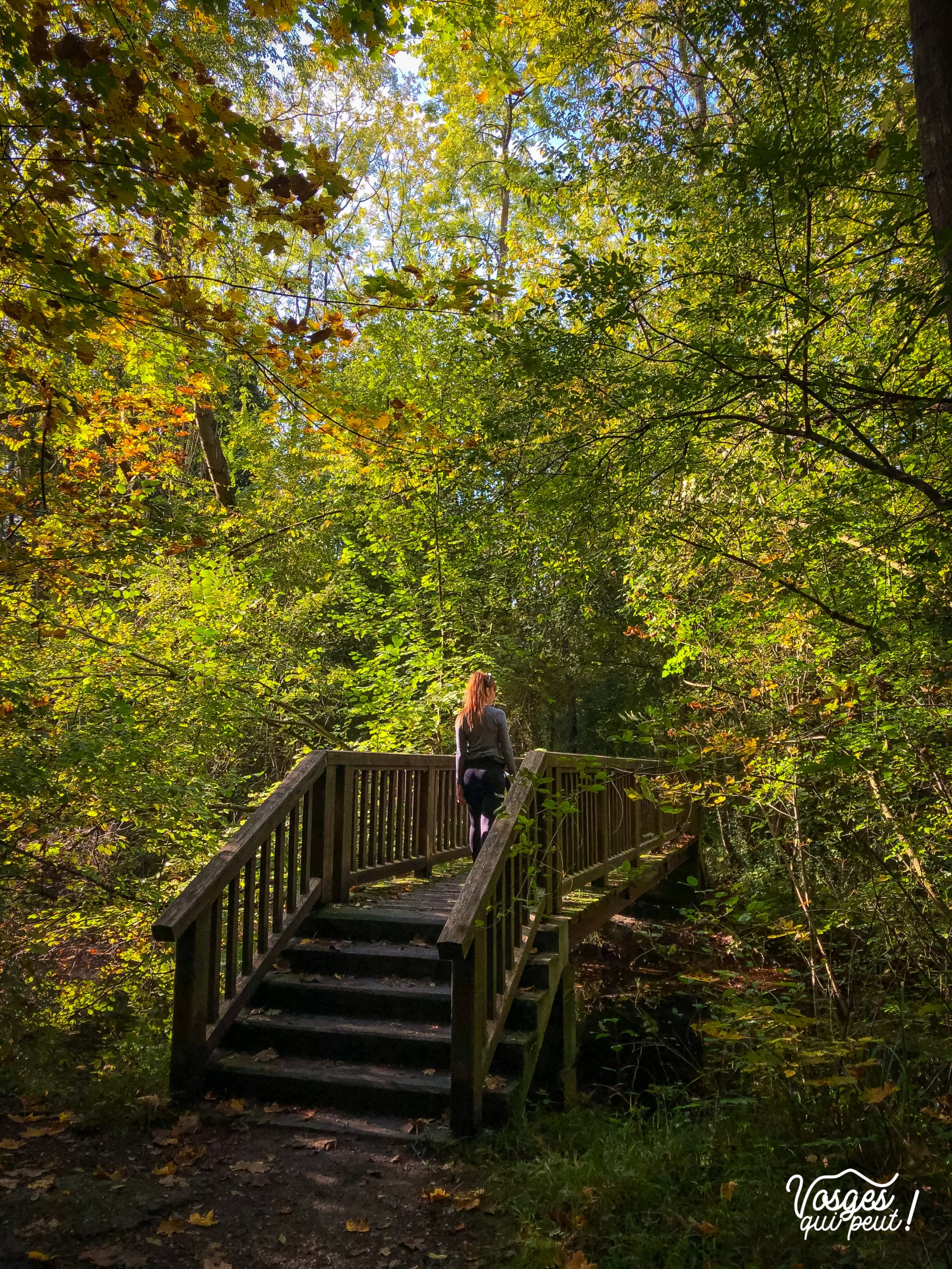 Une jeune fille traverse un pont dans la forêt de la Robertsau