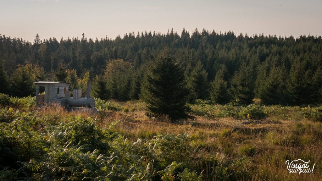 Une œuvre de land art sur le sentier des passeurs dans la vallée de la Bruche