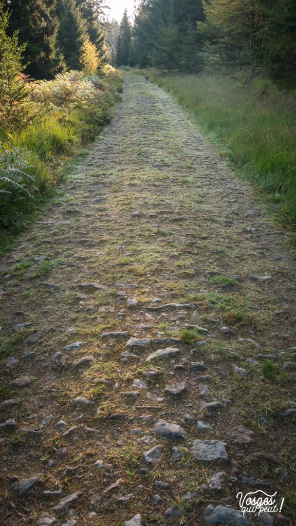 La route forestière des Allemands dans la vallée de la Bruche