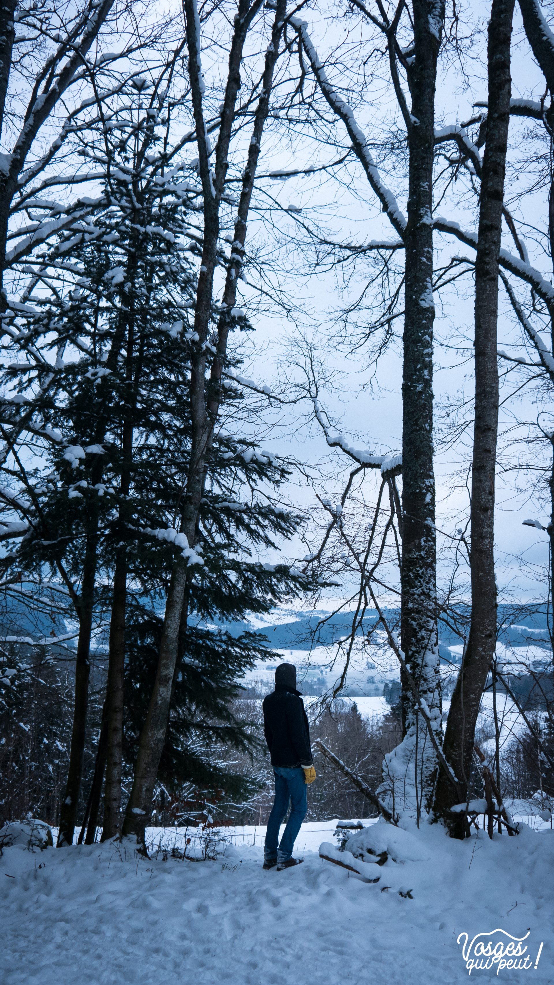 Un randonneur pendant une rando en raquettes dans les Vosges