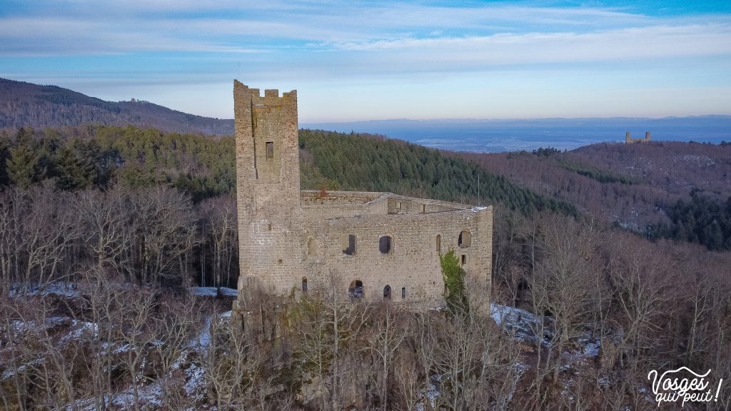 Vue aérienne du château du Spesbourg dans les Vosges