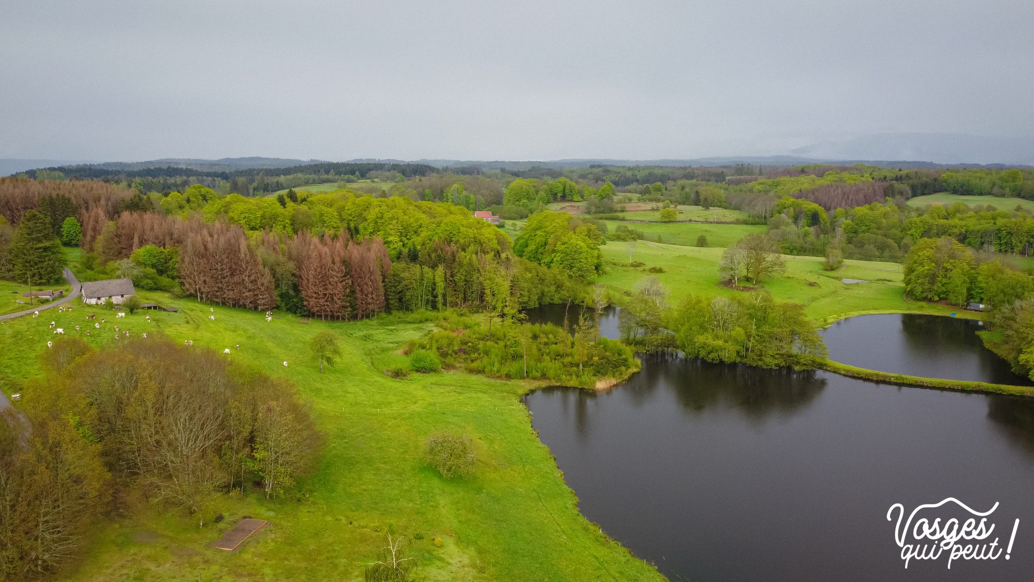 étang à Vendre Plateau Des Mille étangs