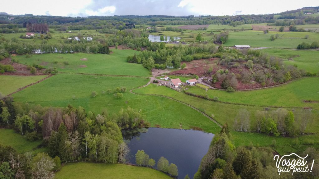 Étang au plateau des Mille Étangs