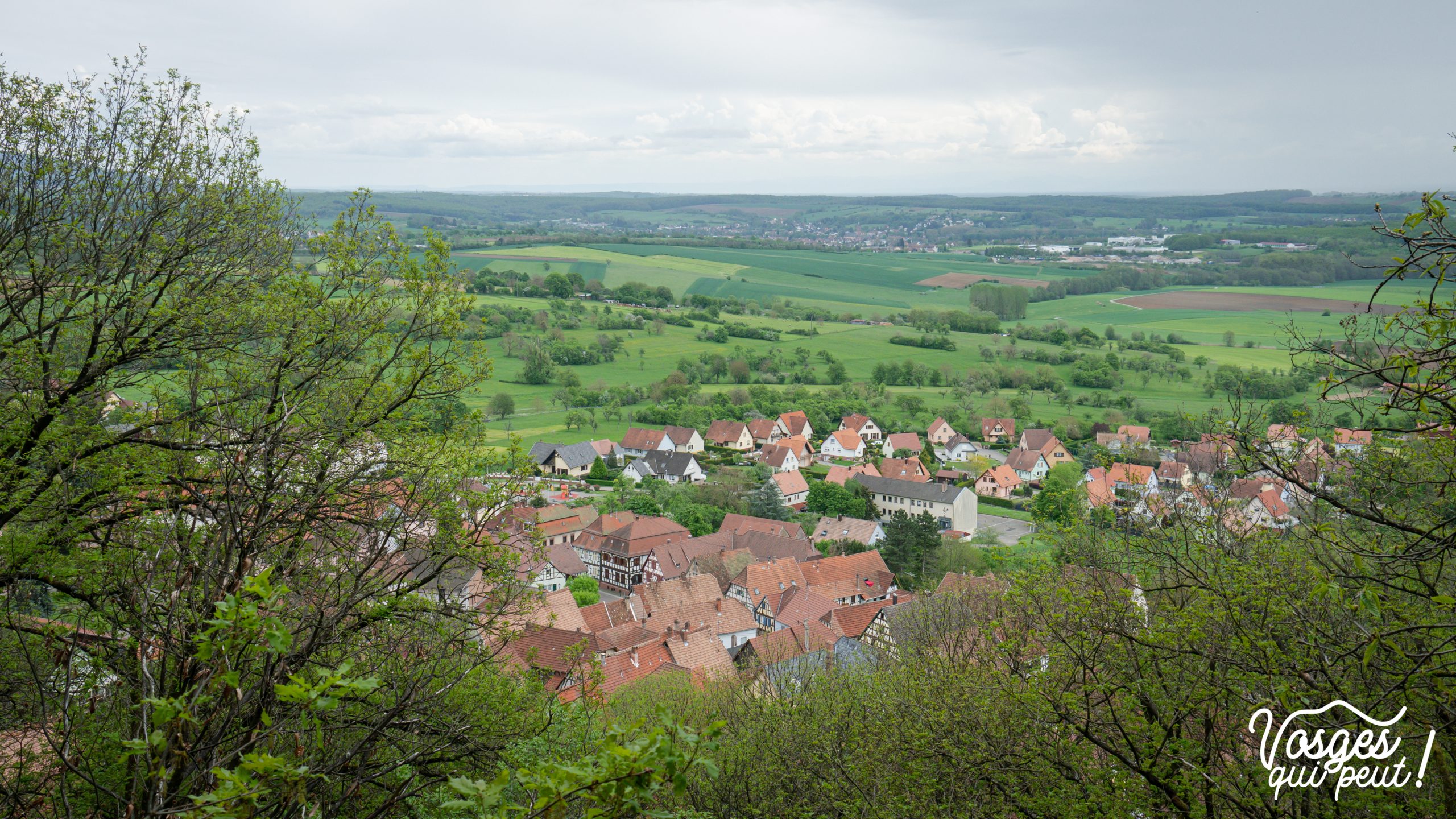 Panorama depuis le belvédère d'Oberbronn
