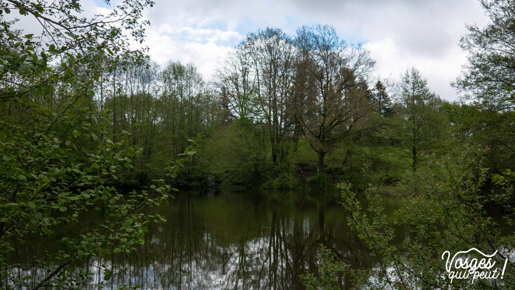 Étang au plateau des Mille Étangs