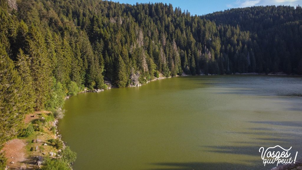 Le lac Vert dans le massif des Vosges
