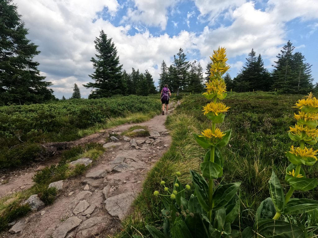 [GUIDE] Préparer son premier trek Vosges qui peut
