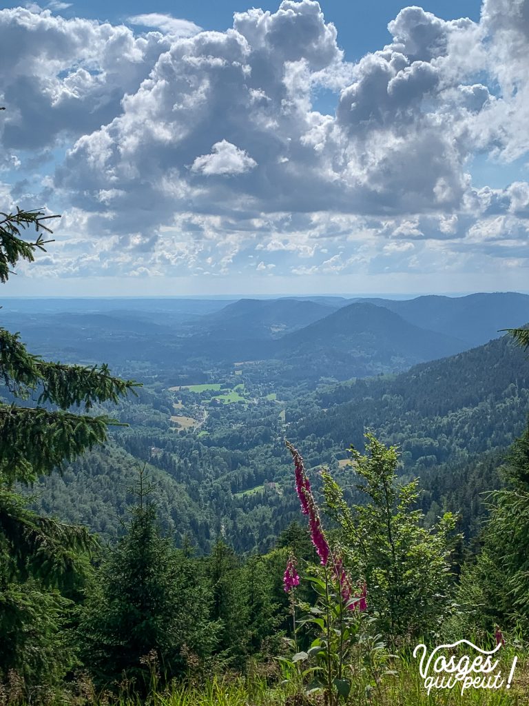 Vue sur le val de Senones dans le Massif des Vosges
