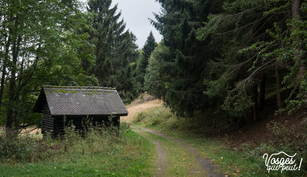 Un abri pour randonneurs dans le Massif des Vosges
