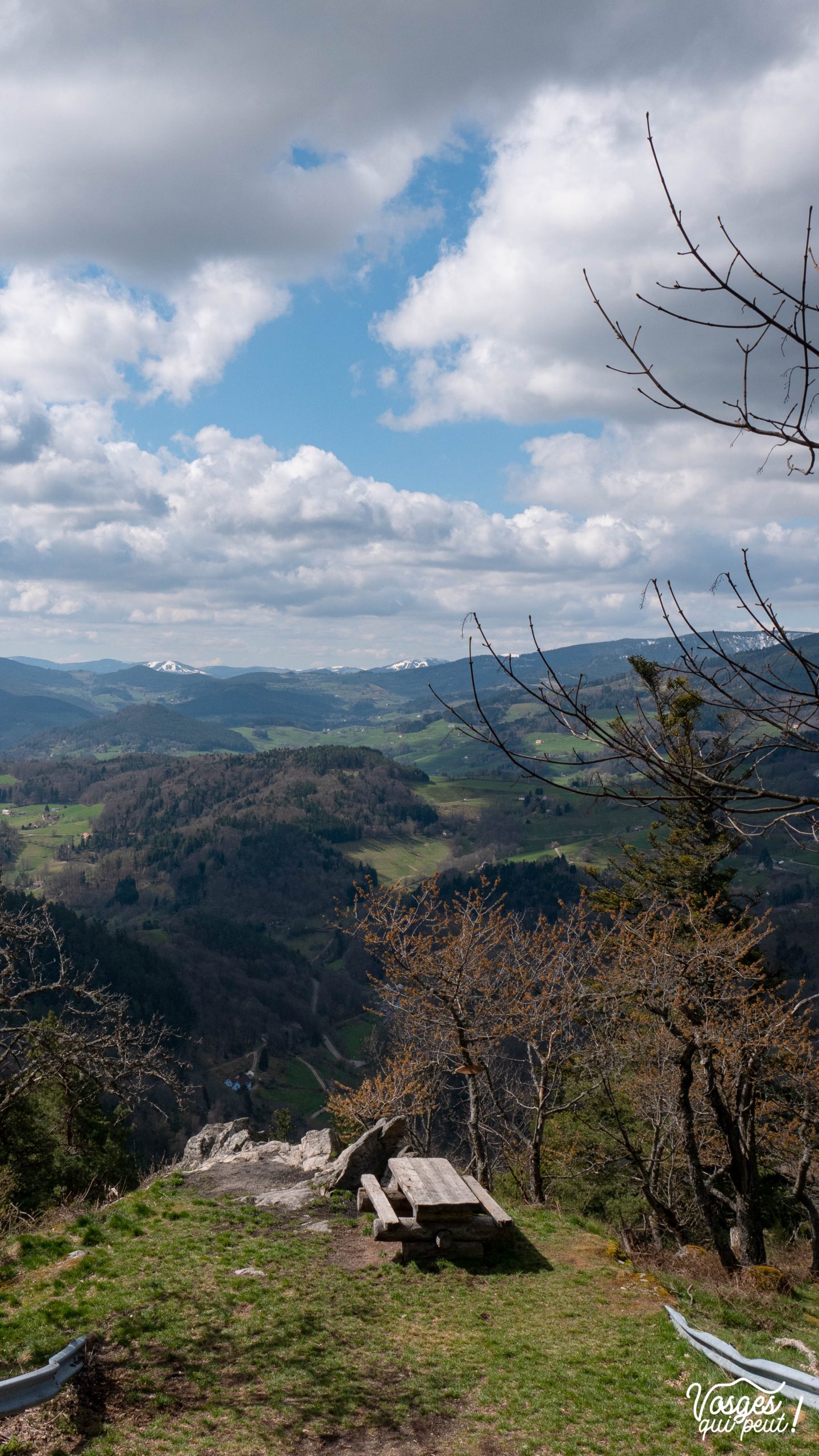 Vue sur le Massif des Vosges depuis le col de Fréland