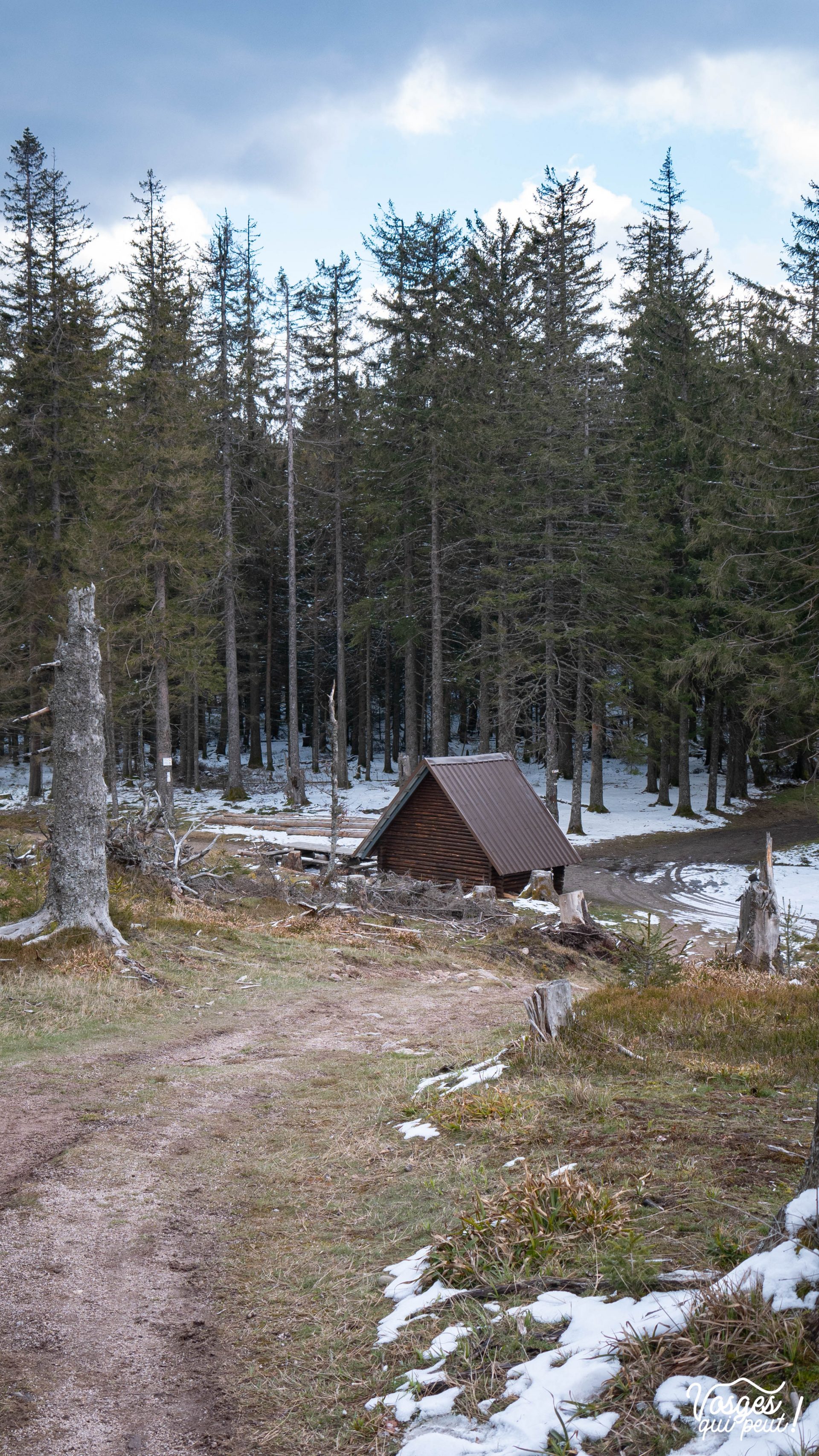 Cabane dans le Massif des Vosges