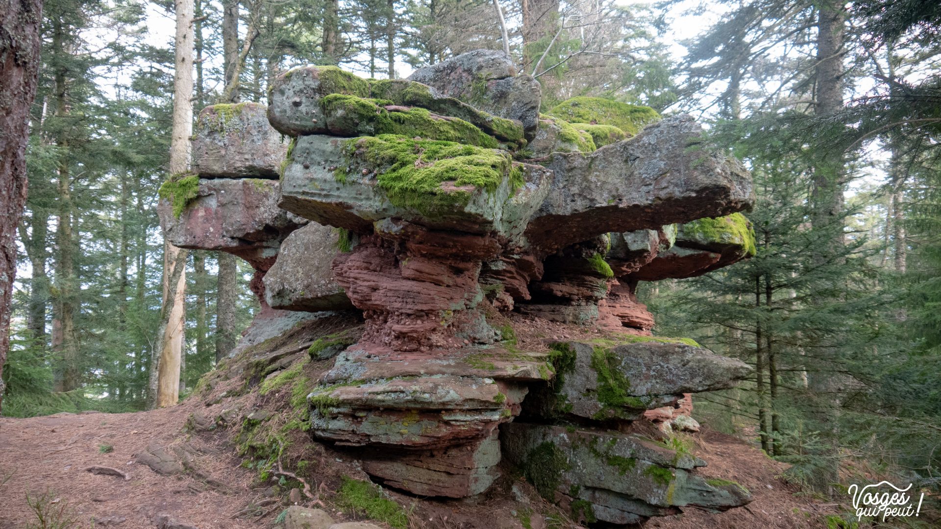 La roche des Fées dans le Massif des Vosges