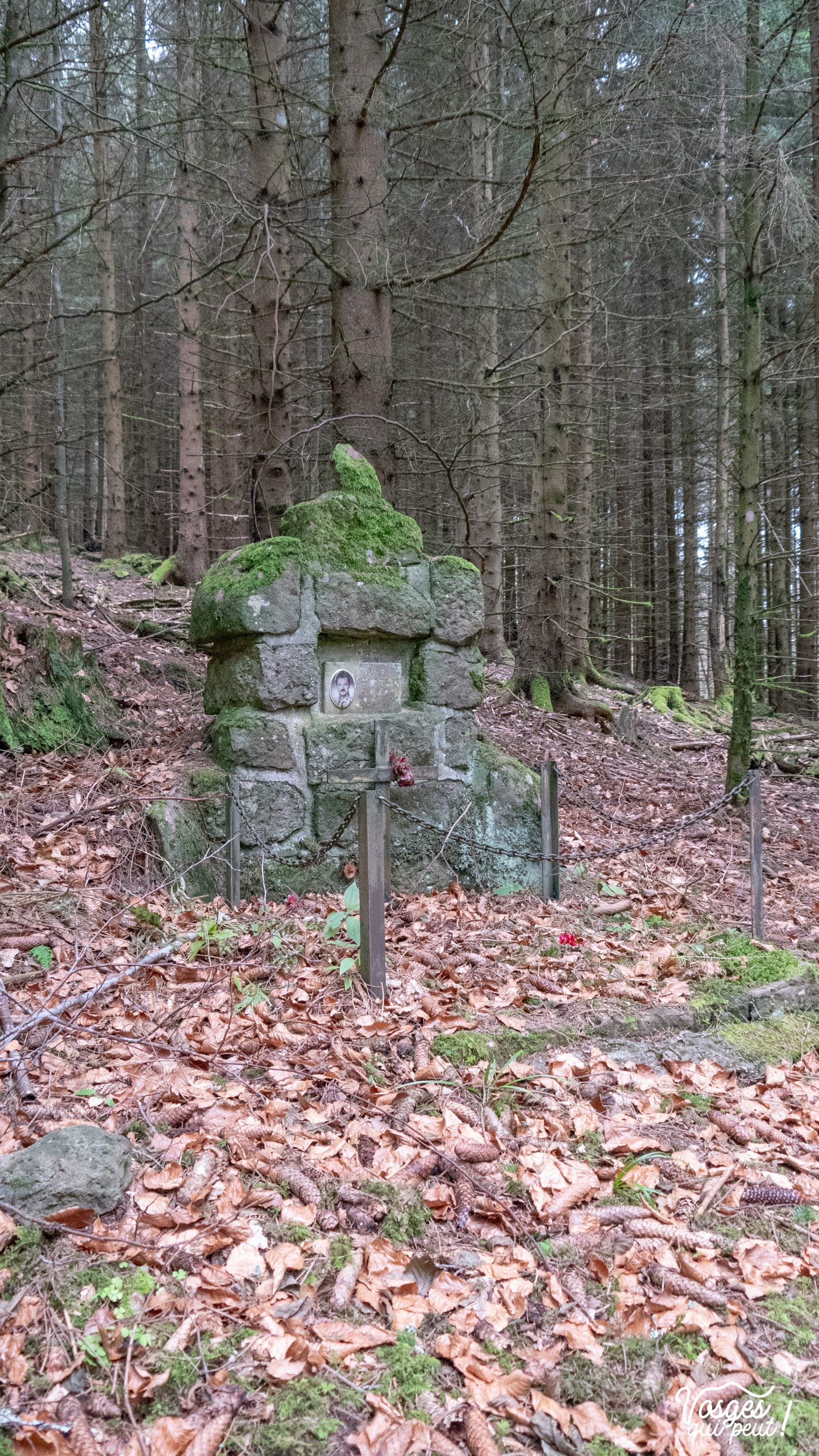 Stèle mémorielle dans le Massif des Vosges