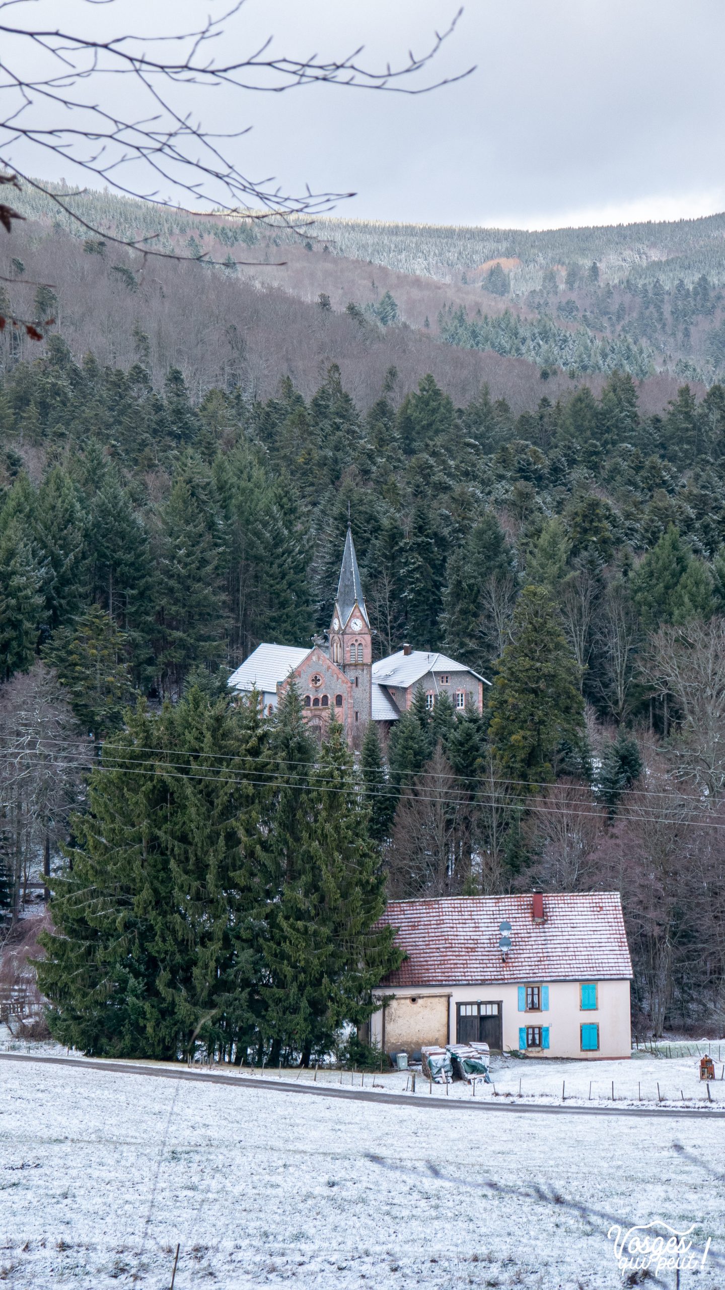 Vue sur le Hohwald dans le Massif des Vosges