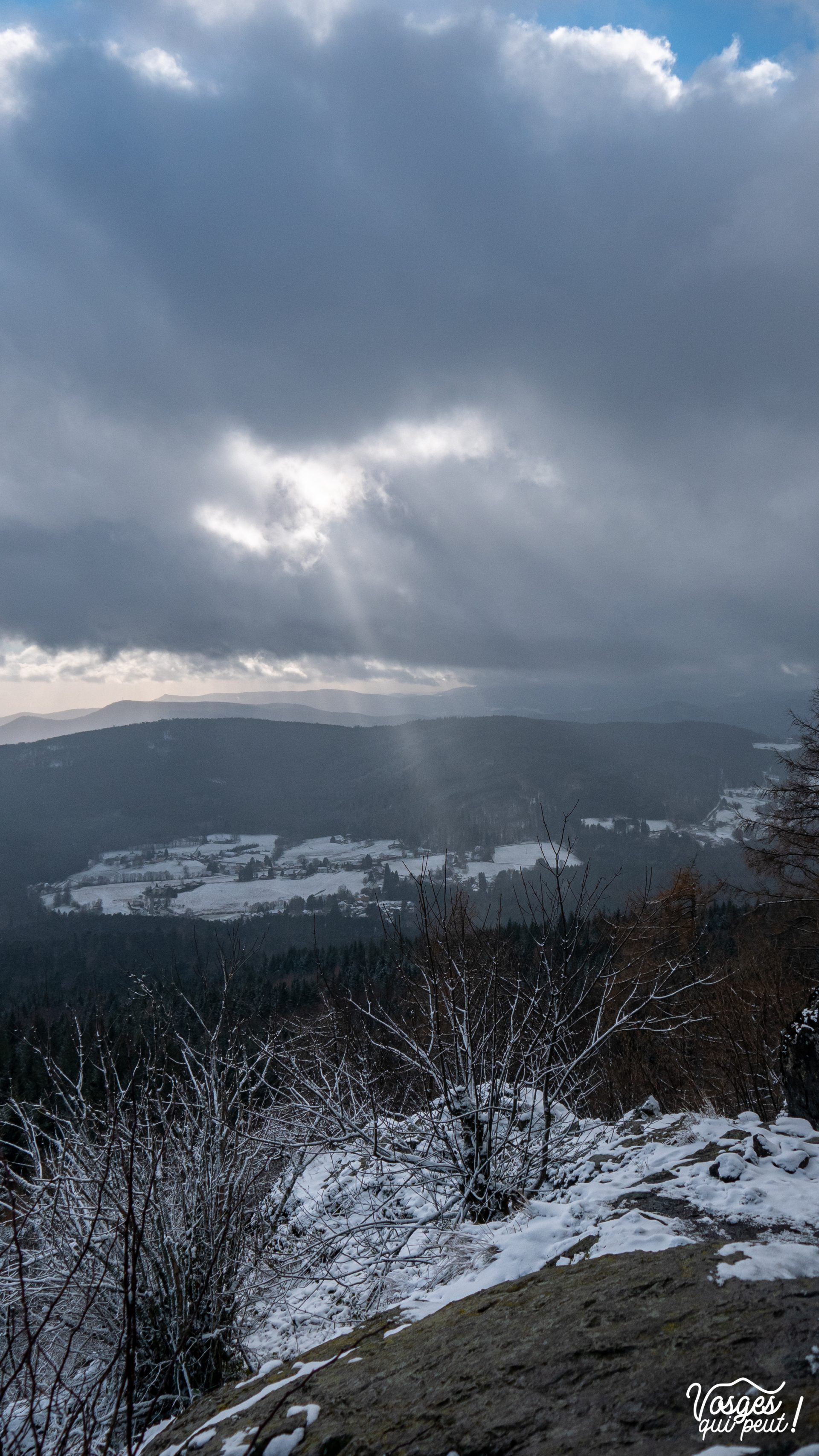 Panorama sur le Massif des Vosges