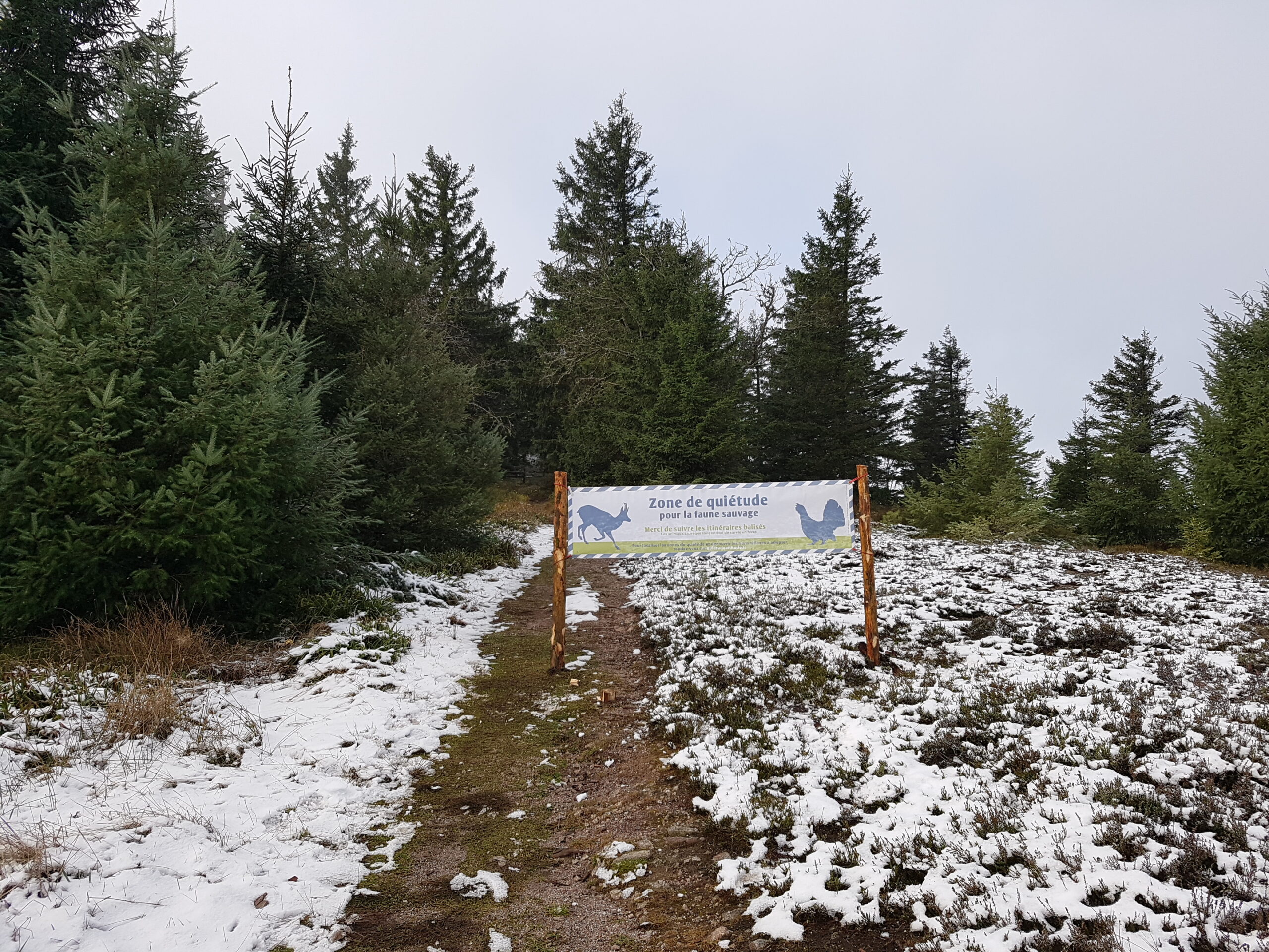 Banderole limitant l'accès au sommet du Petit Brézouard