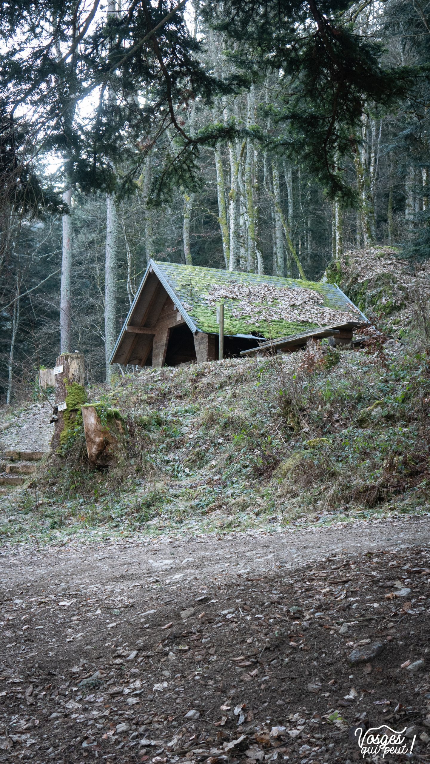Abri pour randonneurs dans le Massif des Vosges