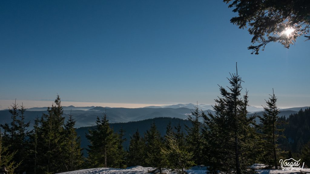 Panorama sur les chaumes depuis le Brézouard