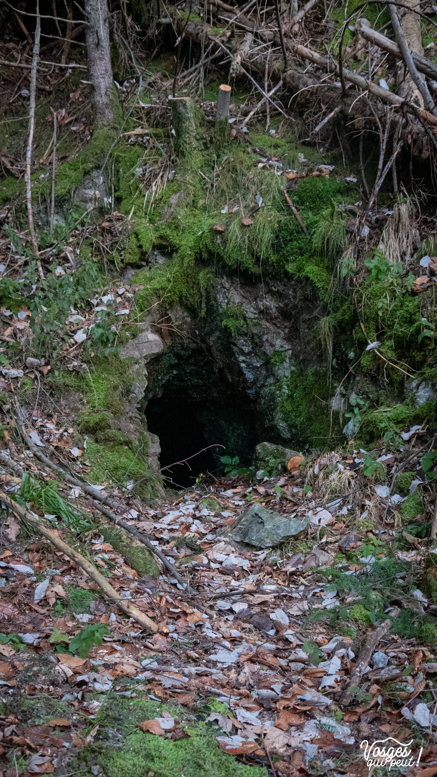 Entrée d'une mine d'argent dans le Massif des Vosges