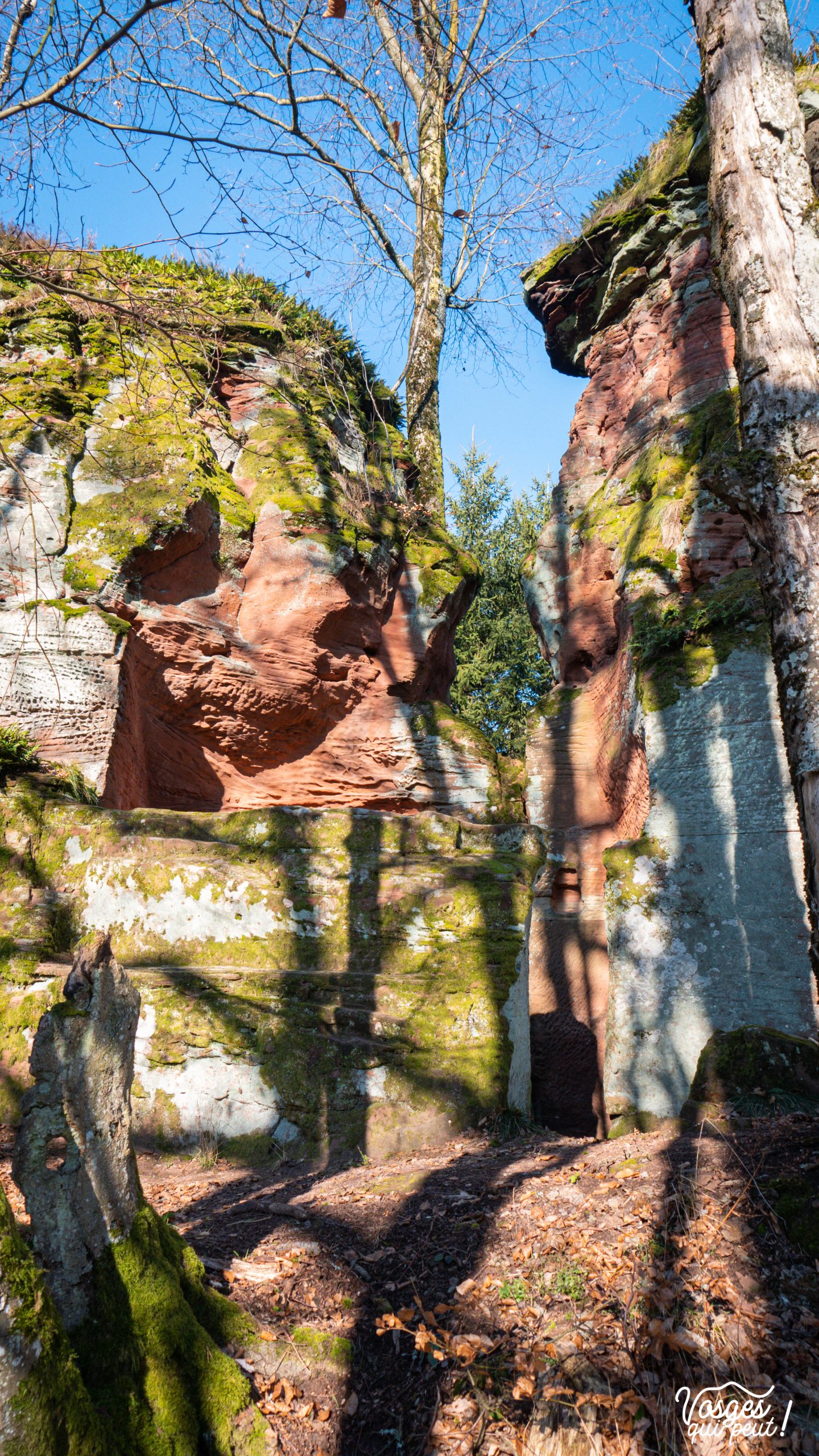 Les ruines du château du Wittschloessel dans les Vosges du Nord