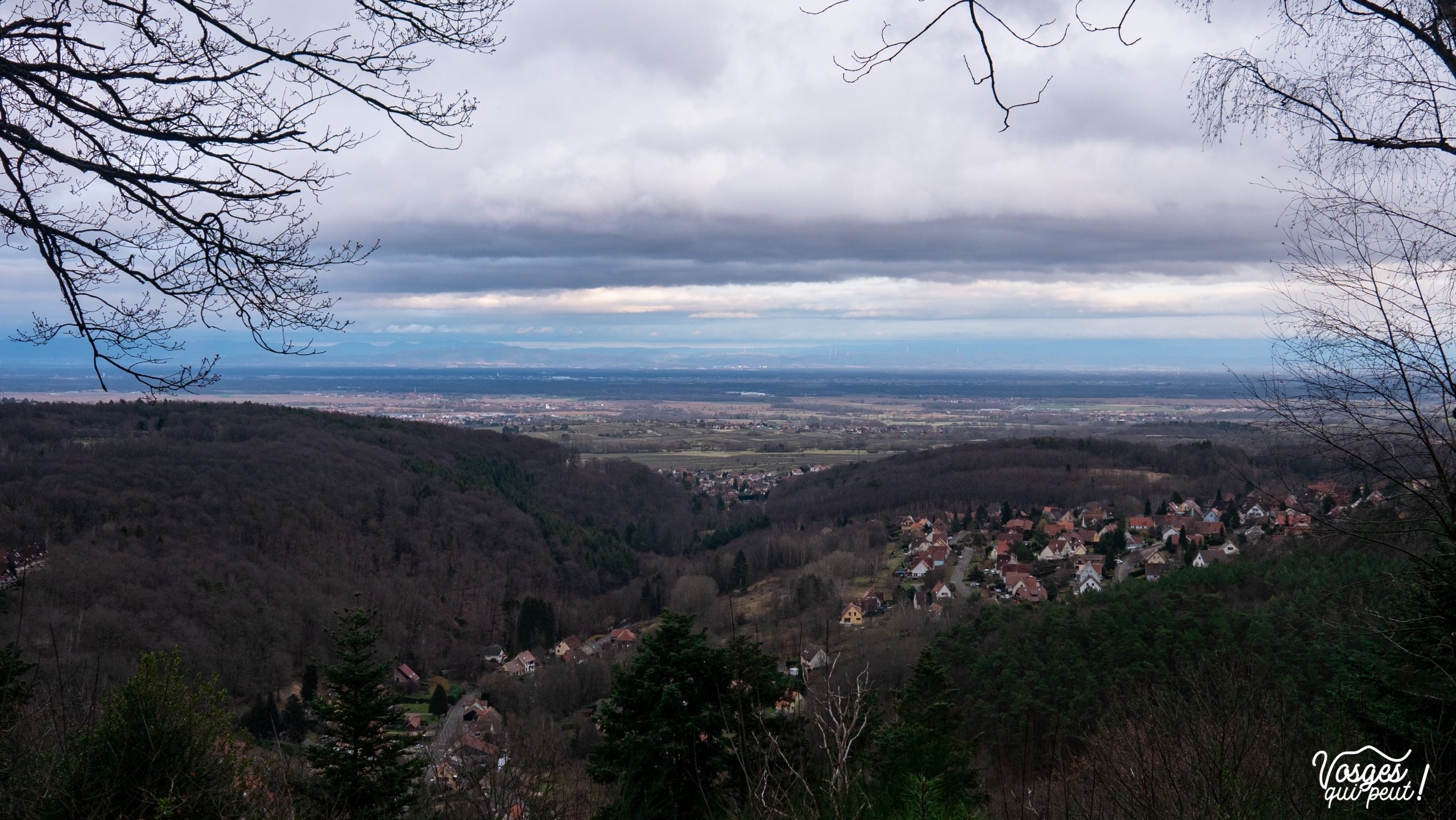 Vue sur la plaine d'Alsace depuis le Massif des Vosges