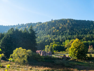 L'abbaye de Niedermunster autour du Mont Sainte-Odile dans le Massif des Vosges